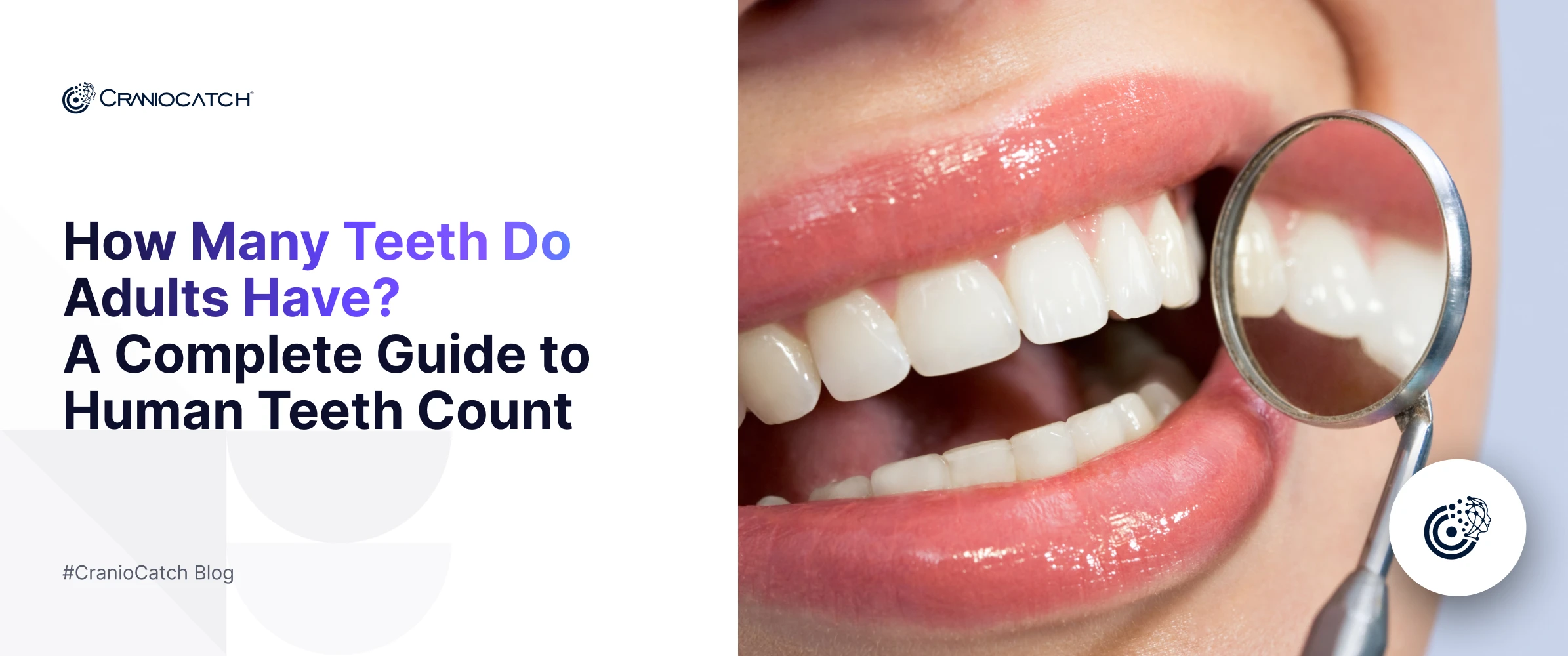 How Many Teeth Do Adults Have? A Complete Guide to Human Teeth Count