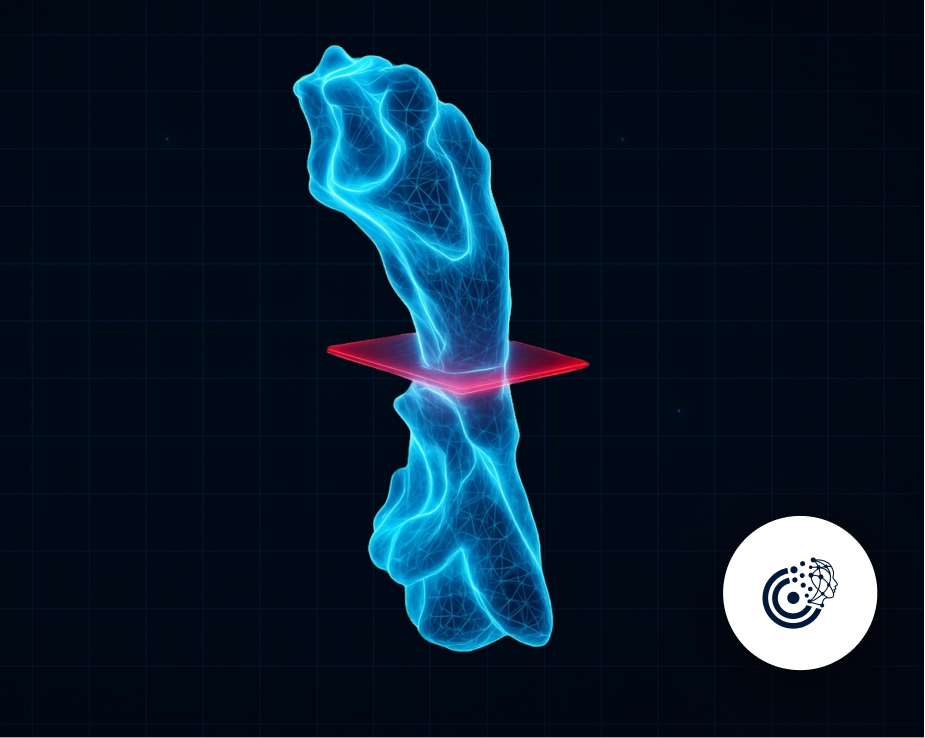 Pharyngeal Airway and Paranasal Sinus Volume Calculation with AI | CranioCatch CBCT Analysis