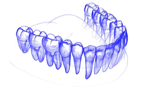 tooth